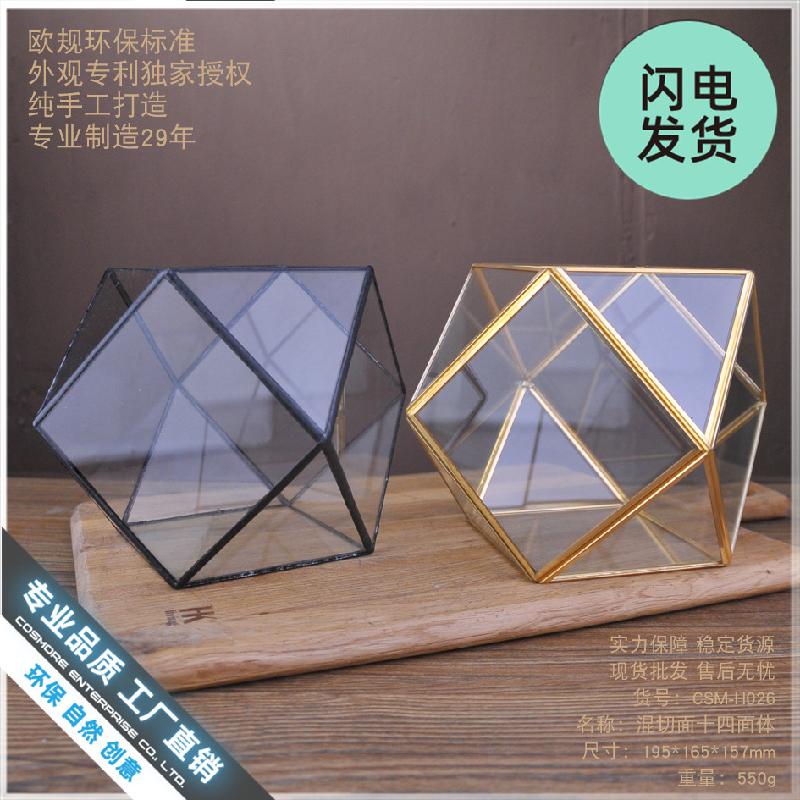 Chậu Đa Giác Bình sinh thái rêu cảnh DIY (DG-224)