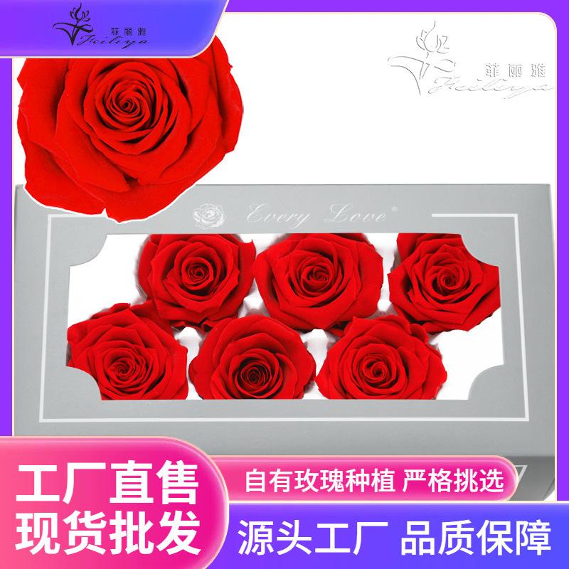 Hoa khô trang trí FY-51