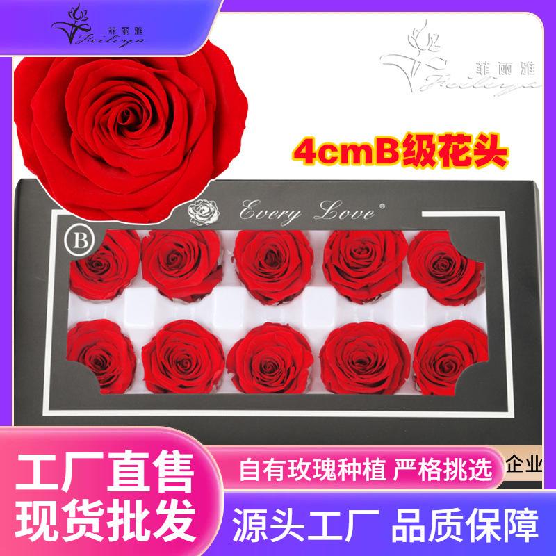 Hoa khô trang trí FY-4