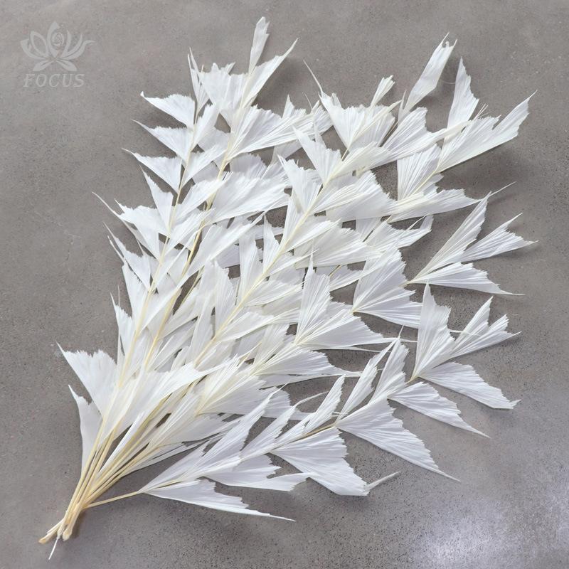 Hoa khô trang trí FY-53