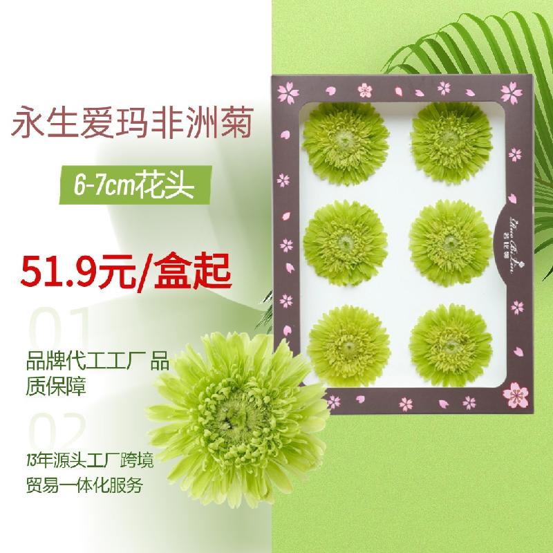 Hoa khô trang trí FY-28