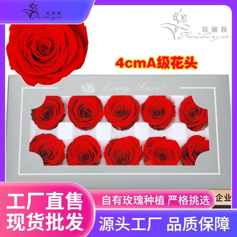 Hoa khô trang trí FY-17