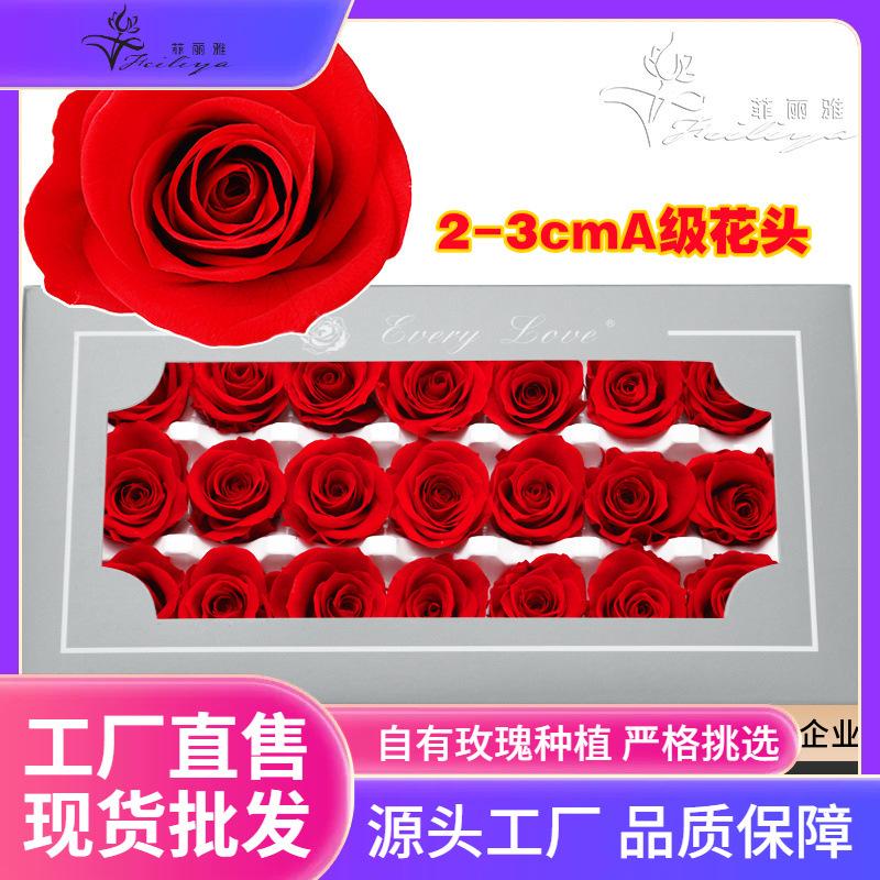 Hoa khô trang trí FY-8