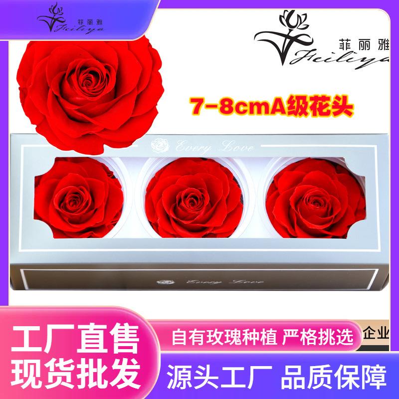 Hoa khô trang trí FY-170