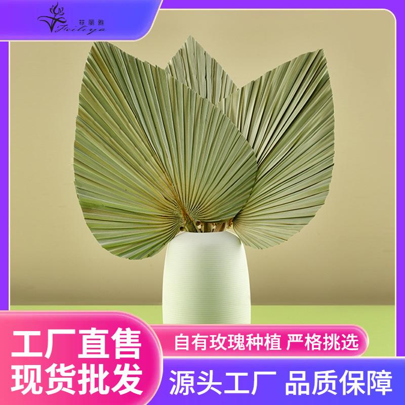 Hoa khô trang trí FY-89