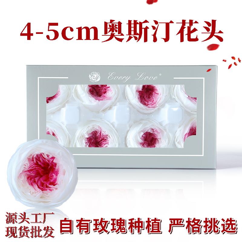 Hoa khô trang trí Hoa hồng Austin vĩnh cửu 8 bông DIY hoa khô quà tặng cao cấp (HK-4)