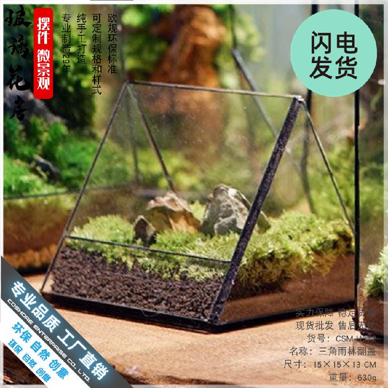Chậu Đa Giác Nhà kính cây cảnh mini (DG-7)