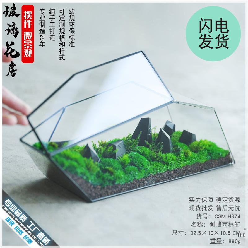 Chậu Đa Giác 苔藓微景观玻璃花房器皿生态雨林缸造景流水植物墙花盆器鱼玻璃罩