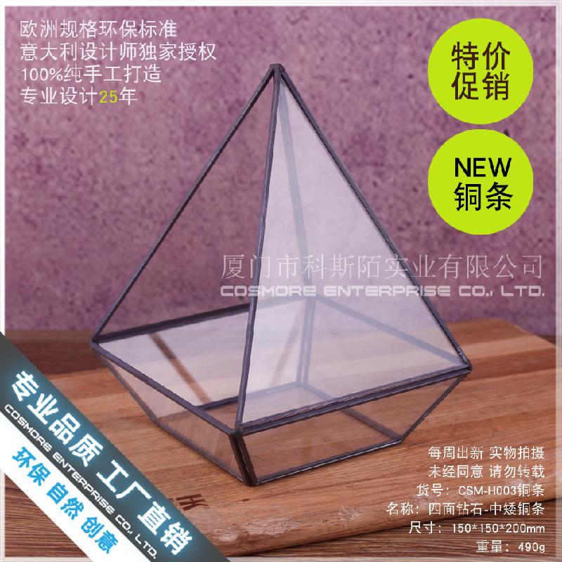 Chậu Đa Giác Nhà kính kim cương 4 mặt, tiểu cảnh rêu (DG-74)