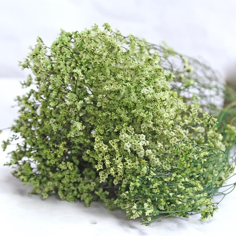 Hoa khô trang trí FY-31