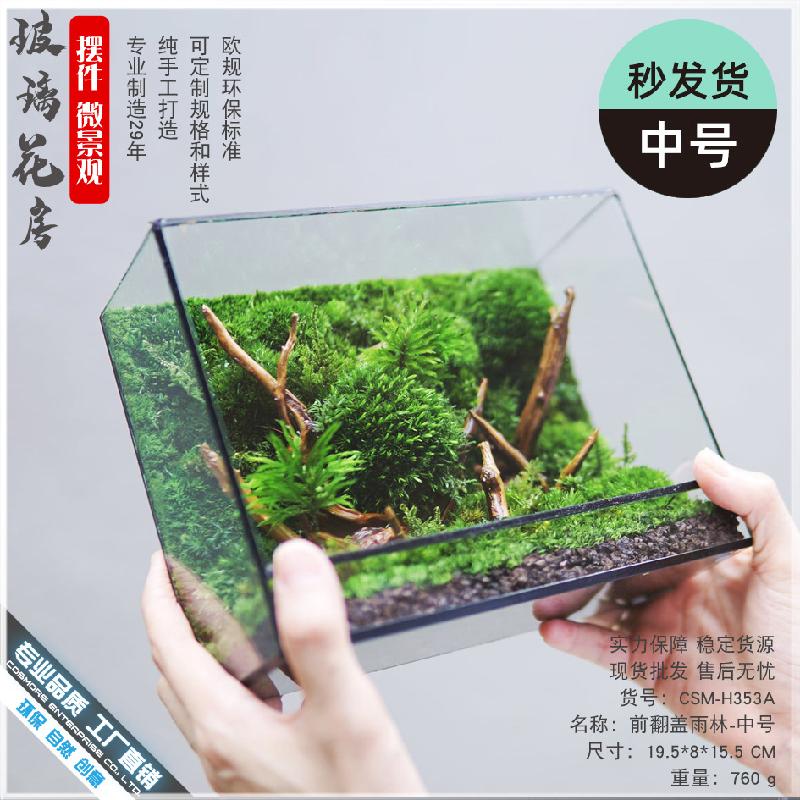 Chậu Đa Giác Bể rêu cảnh hệ sinh thái để bàn (DG-6)