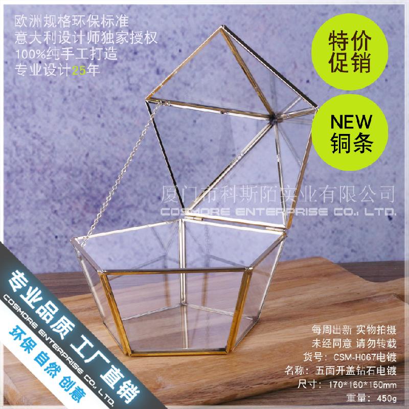 Chậu Đa Giác Hộp kính hoa bất tử, hộp trang sức 5 mặt (DG-179)