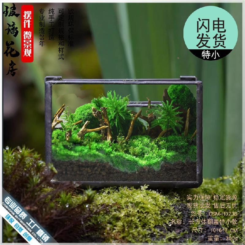 Chậu Đa Giác 植觉苔藓植物微景观玻璃盒子微缩造景生态瓶桌面盆栽家居摆件花盆