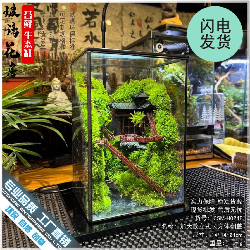 Chậu Đa Giác DG-4 Các cảnh quan nhỏ, rừng mưa, hộp sinh thái, cảnh quan tạo, hình hộp, kính, phòng hoa, sáng tạo, các bồn cây, hình vuông