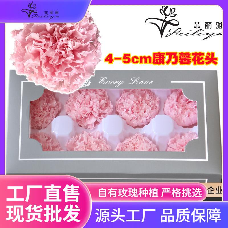 Hoa khô trang trí FY-23