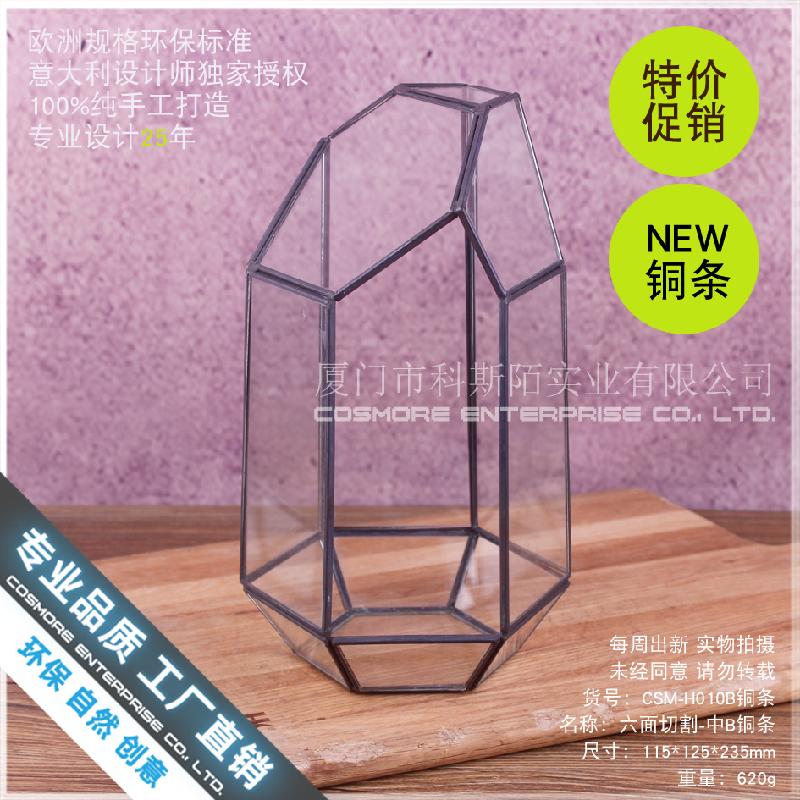 Chậu Đa Giác Nhà kính 6 mặt cắt viền đồng, Terrarium (DG-190)
