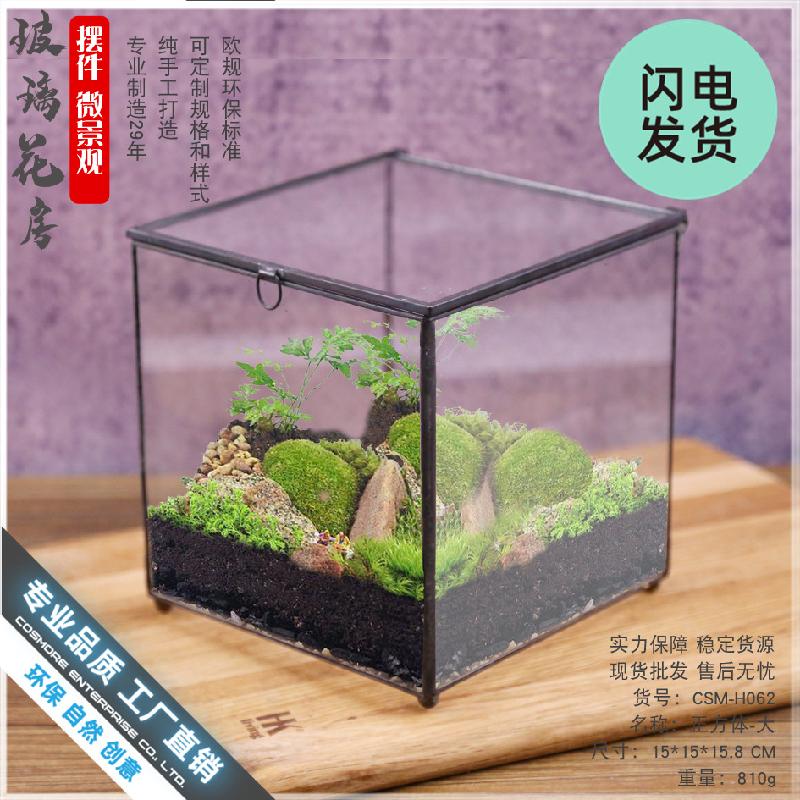 Chậu Đa Giác Nhà kính vuông lớn Terrarium (DG-41)