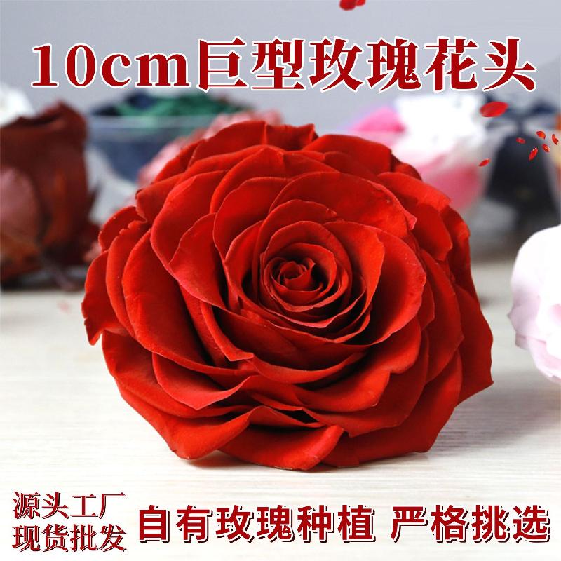 Hoa khô trang trí Hoa hồng vĩnh cửu 9–10cm bông lớn DIY hộp quà (HK-59)