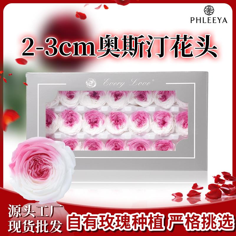 Hoa khô trang trí Hoa hồng Austin vĩnh cửu 2–3cm Chocolate Bubble DIY hoa khô (HK-15)