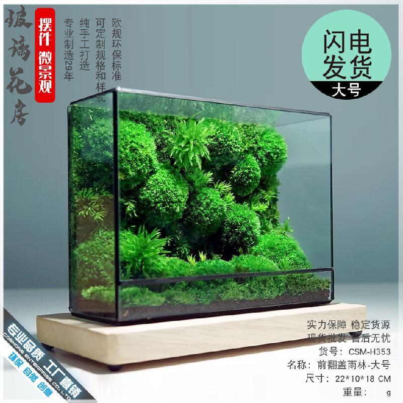 Chậu Đa Giác DG-13 Không gian nhỏ hình học kính hoa, tường mầm non kính, hộp kính, bàn mặt, chai sinh thái, cảnh quan thụy lợi nhỏ