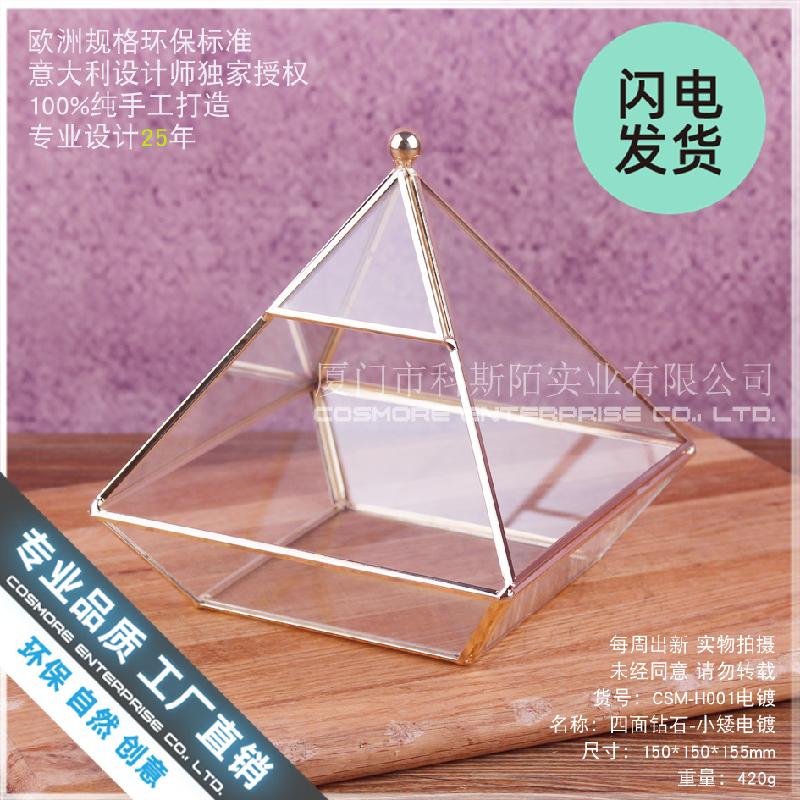 Chậu Đa Giác Nhà kính kim cương thấp, tiểu cảnh rêu (DG-192)