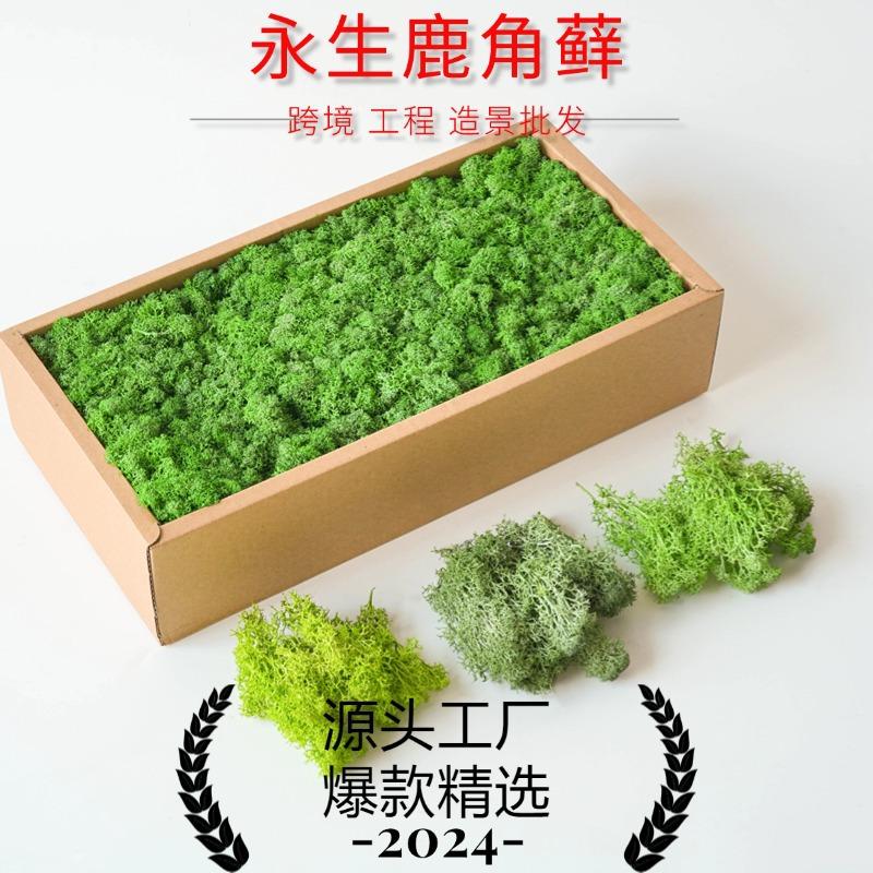 Hoa khô trang trí FY-14