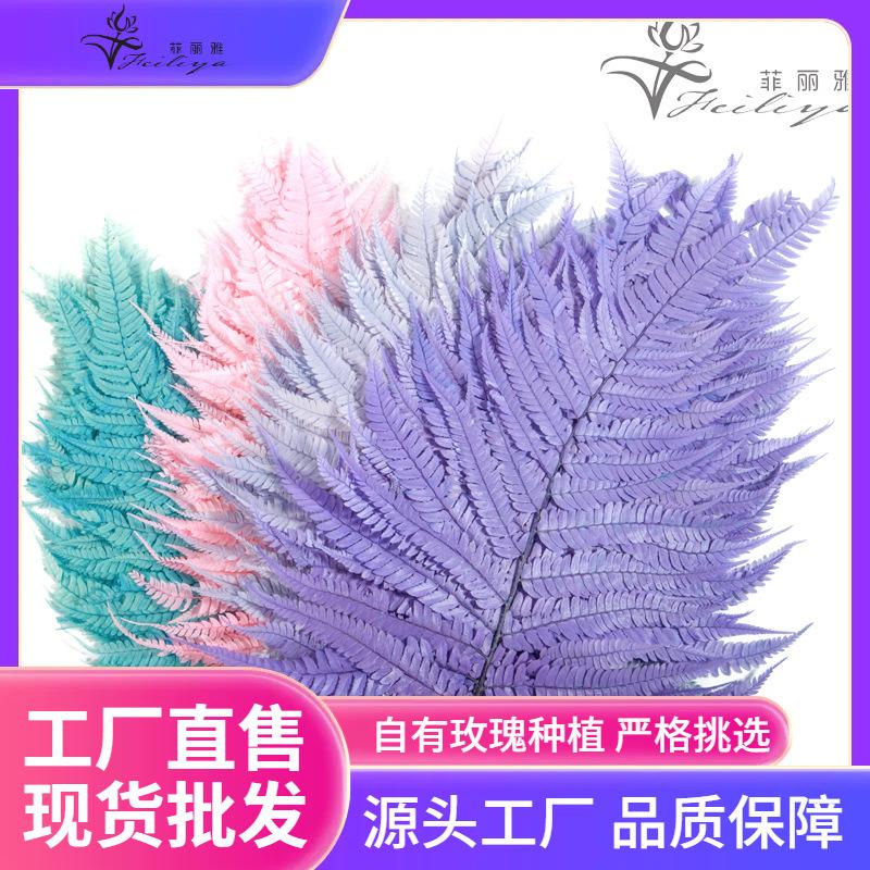 Hoa khô trang trí FY-167