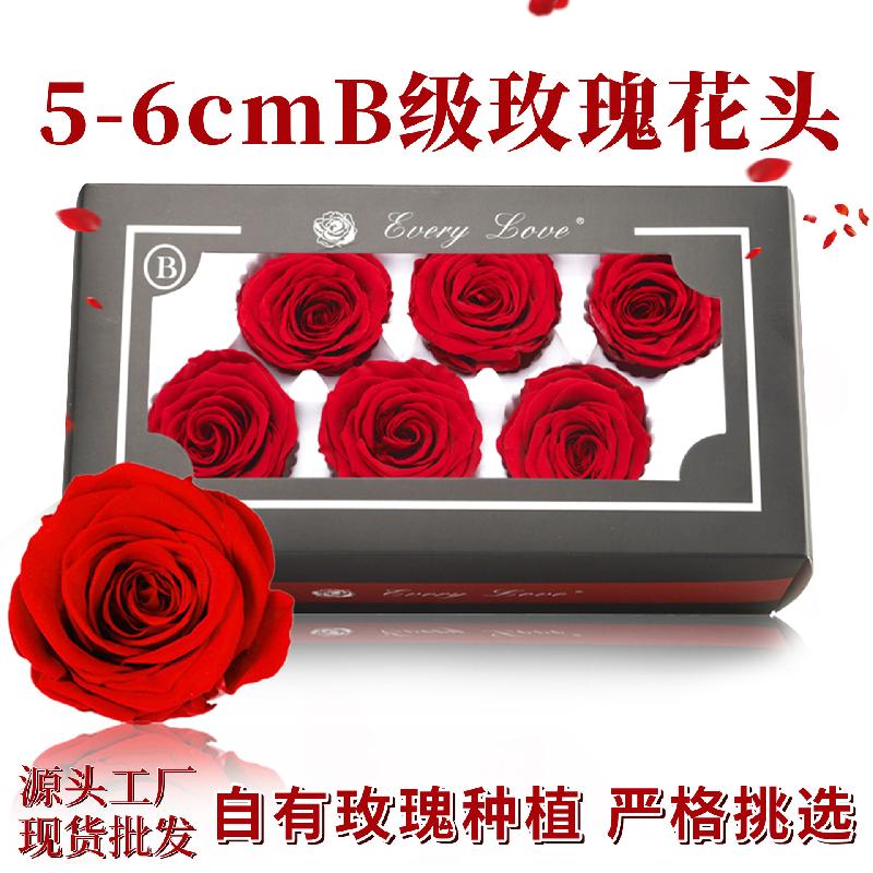 Hoa khô trang trí Hoa hồng vĩnh cửu 5–6cm 6 bông DIY bó hoa hoa khô cao cấp (HK-16)