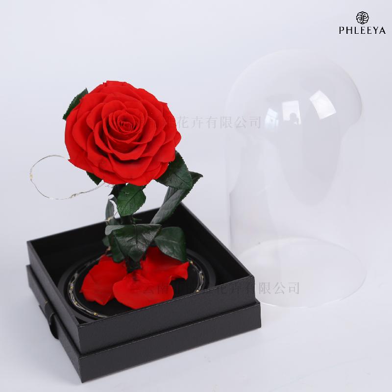 Hoa khô trang trí Hoa hồng vĩnh cửu hộp mica Hoàng tử bé quà Thất Tịch Valentine (HK-42)