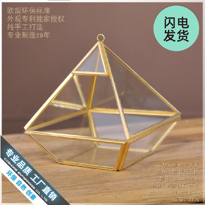 Chậu Đa Giác Nhà kính kim cương mini, hộp hoa bất tử (DG-120)