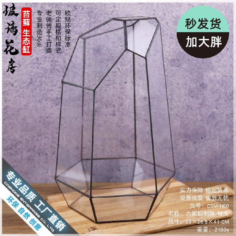 Chậu Đa Giác Nhà kính 6 mặt cắt lớn Terrarium (DG-233)