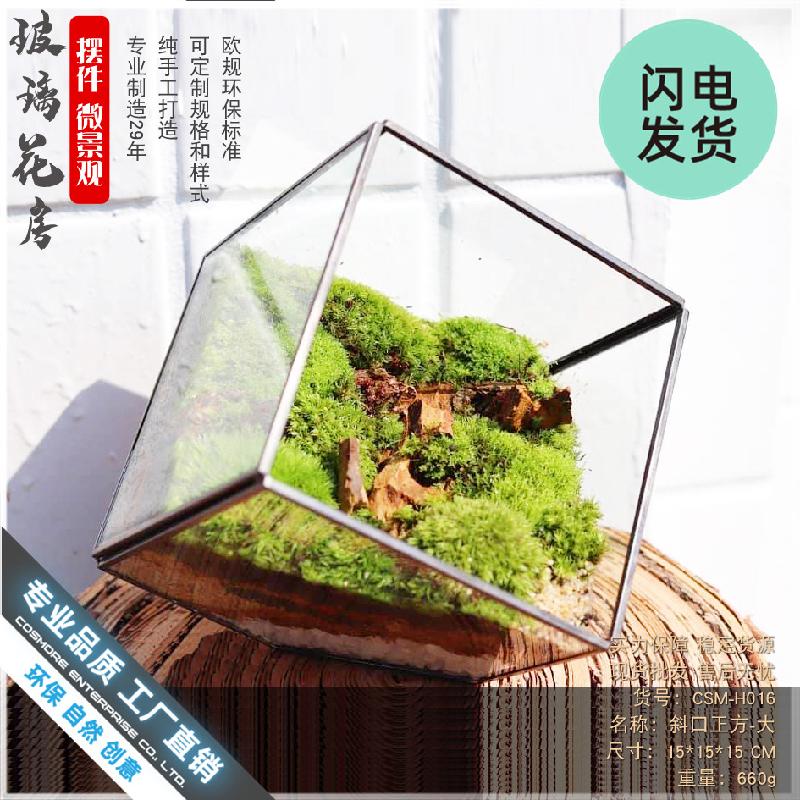 Chậu Đa Giác Nhà kính vuông rêu cảnh (DG-24)