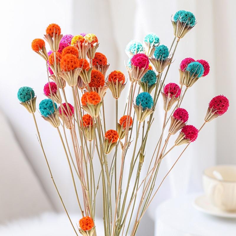 Hoa khô trang trí FY-47