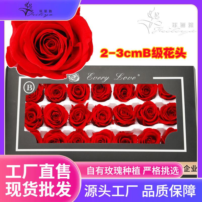 Hoa khô trang trí FY-5