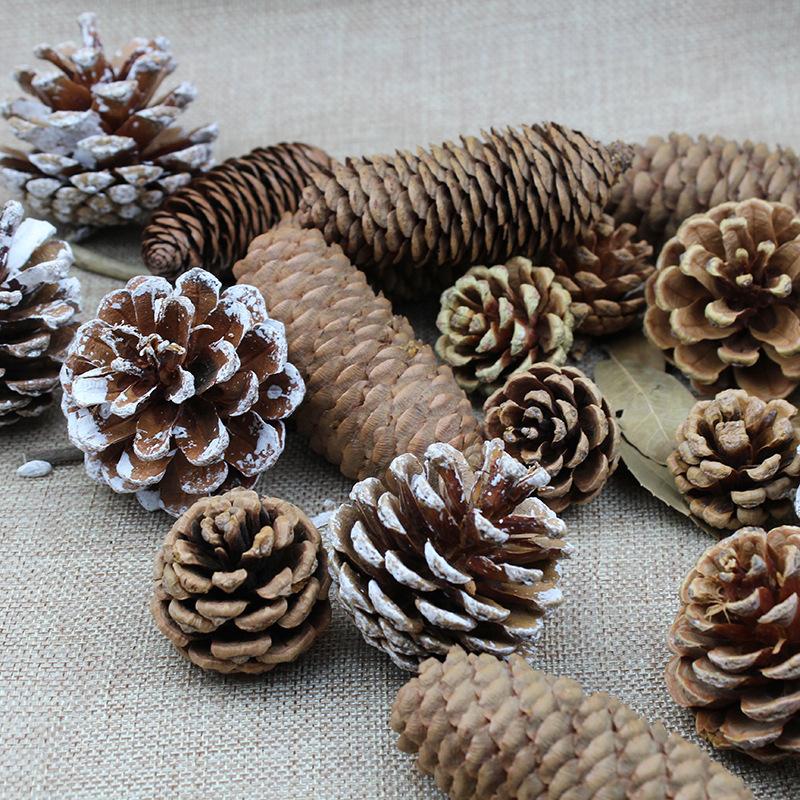 Trang Trí Noel Đồ trang trí Giáng Sinh: Chùm thông nguyên bản, sơn trắng. Lý tưởng cho trang trí cây thông Noel và chụp ảnh.