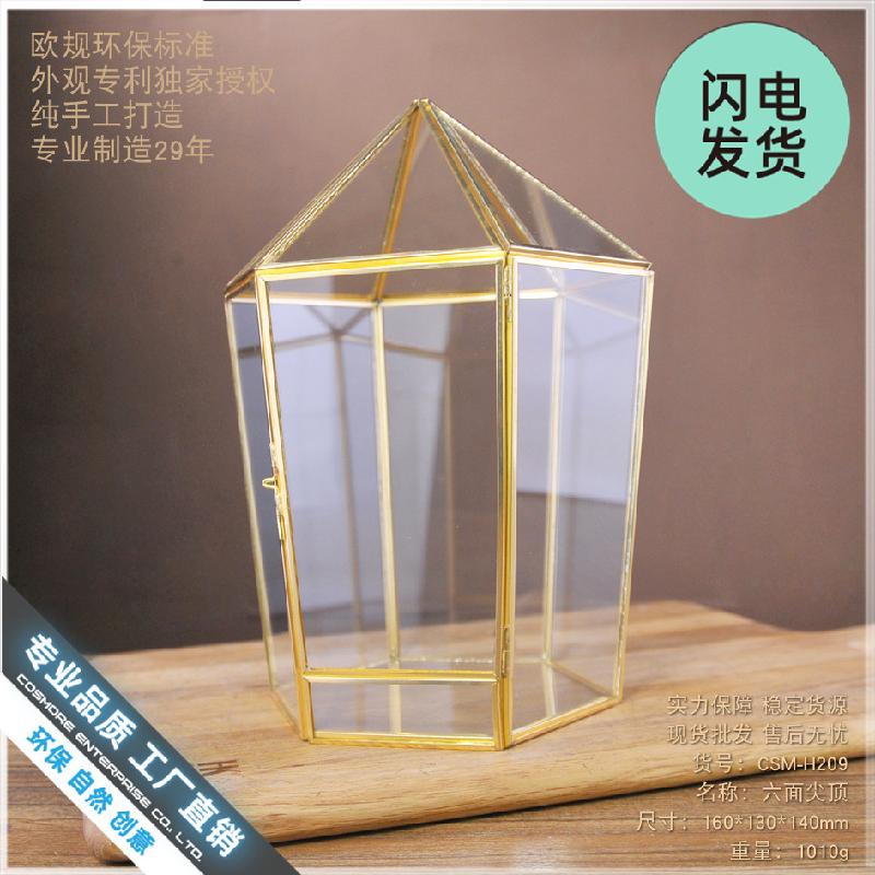 Chậu Đa Giác Nhà kính hình học, hộp hoa bất tử, Terrarium (DG-111)
