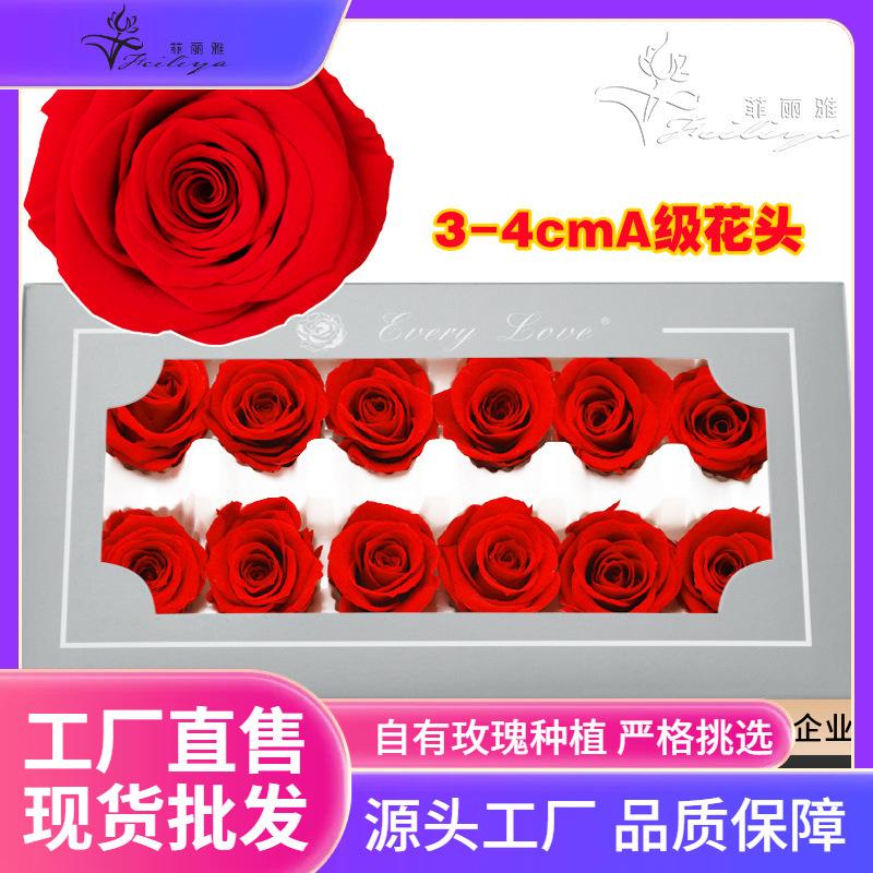 Hoa khô trang trí FY-24