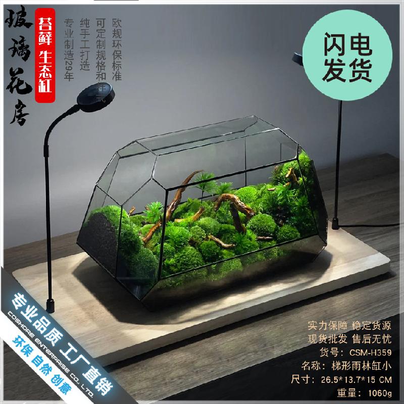 Chậu Đa Giác Bình kính rừng mini Terrarium (DG-5)