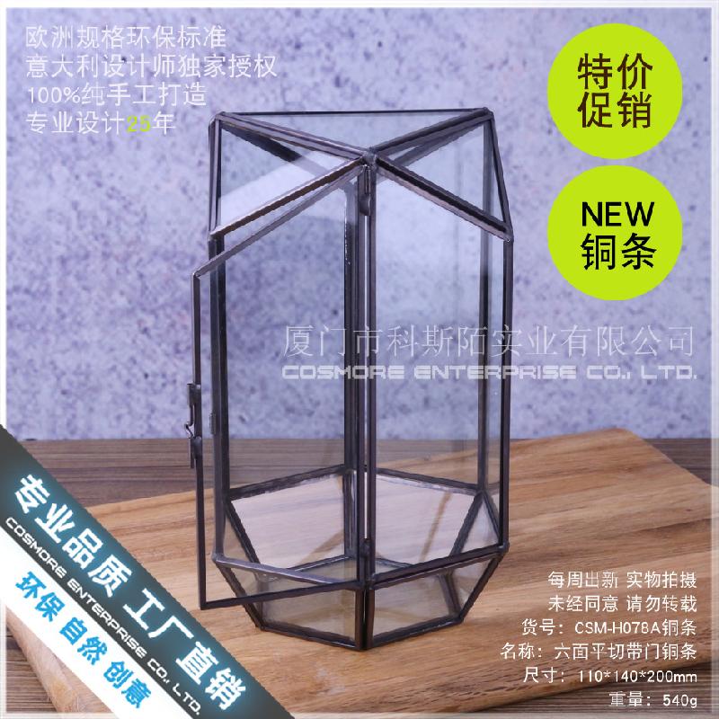 Chậu Đa Giác Hộp kính rêu cảnh, hộp quà cây cảnh (DG-181)