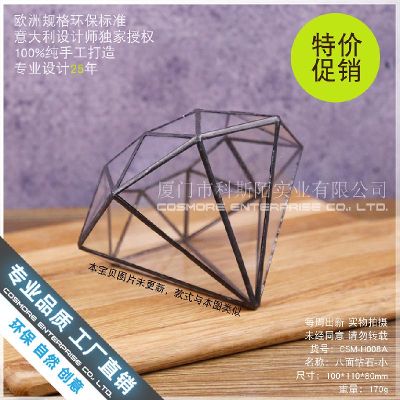 Chậu Đa Giác Nhà kính kim cương 8 mặt châu Âu (DG-199)