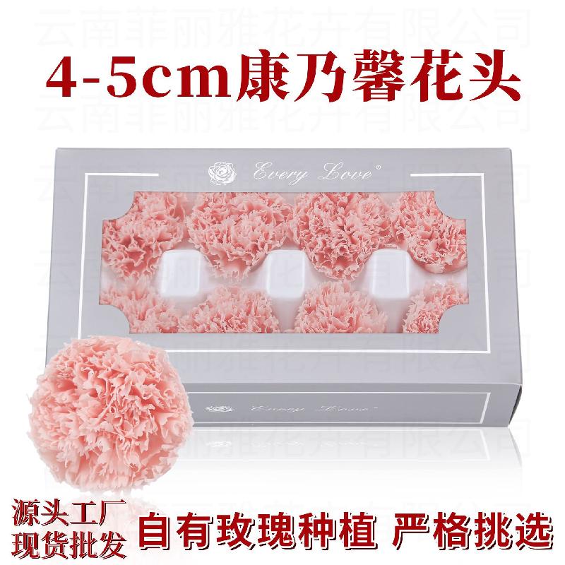 Hoa khô trang trí Hoa cẩm chướng vĩnh cửu 8 bông DIY quà Ngày của Mẹ (HK-30)