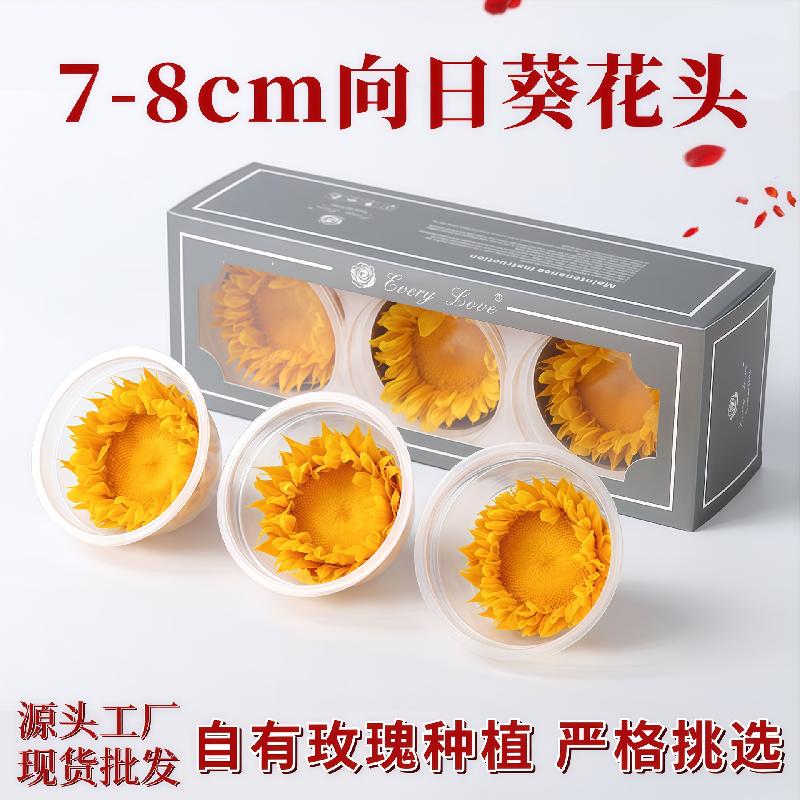 Hoa khô trang trí Hoa hướng dương vĩnh cửu 7–8cm 3 bông DIY hoa khô quà tặng (HK-20)