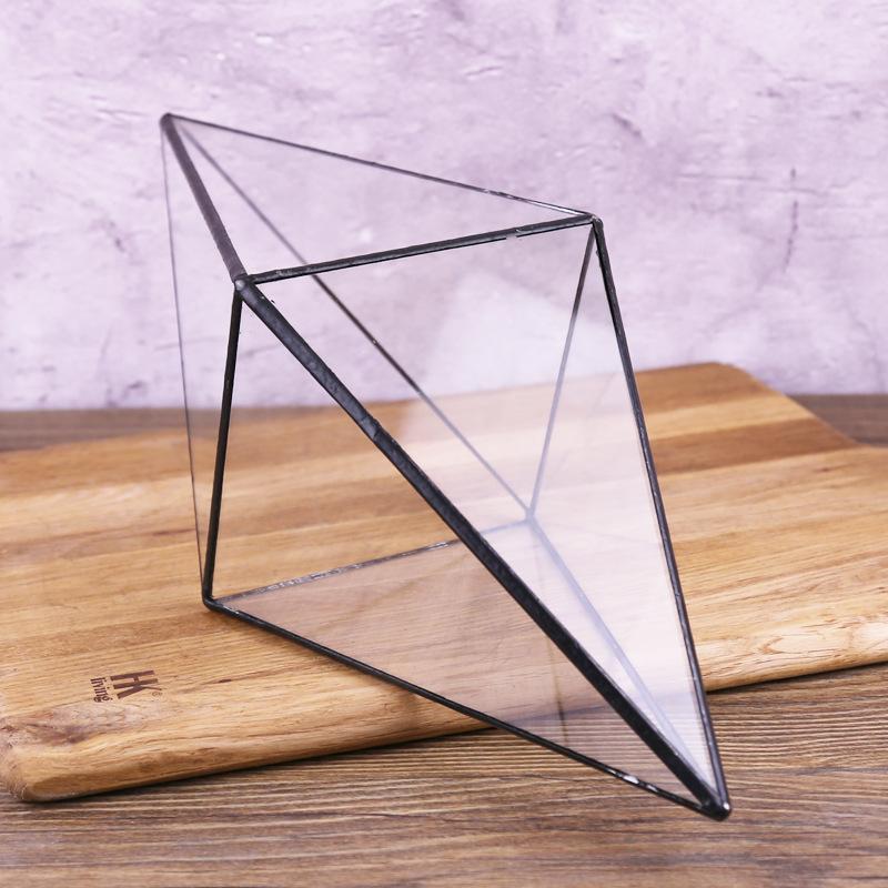 Chậu Đa Giác DG-183 Cảnh quan nhỏ với cây cỏ, của cỏ lá mọng xanh và thực vật nhỏ