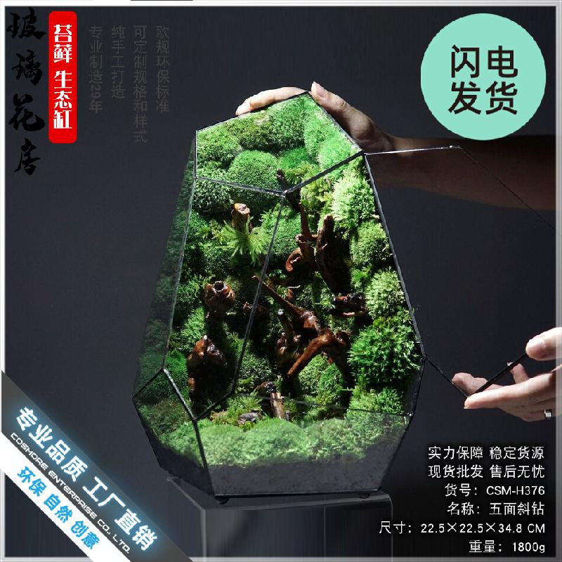 Chậu Đa Giác Nhà kính Terrarium hình học DIY (DG-59)