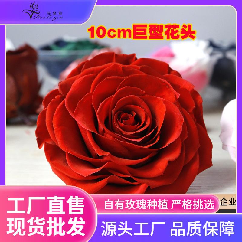 Hoa khô trang trí FY-70