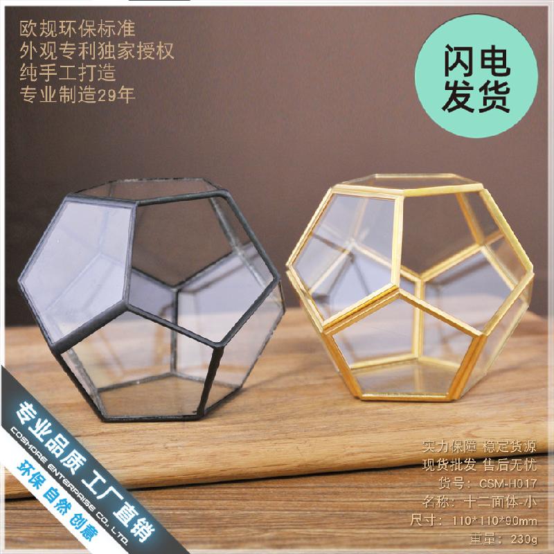 Chậu Đa Giác Nhà kính 12 mặt Terrarium sen đá (DG-229)